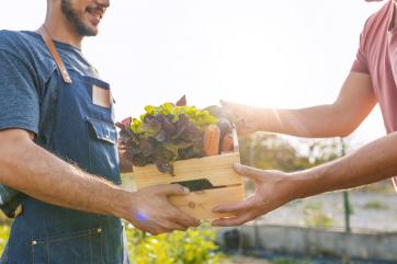 Впервые российский экспорт сельхозпродукции превысил импорт